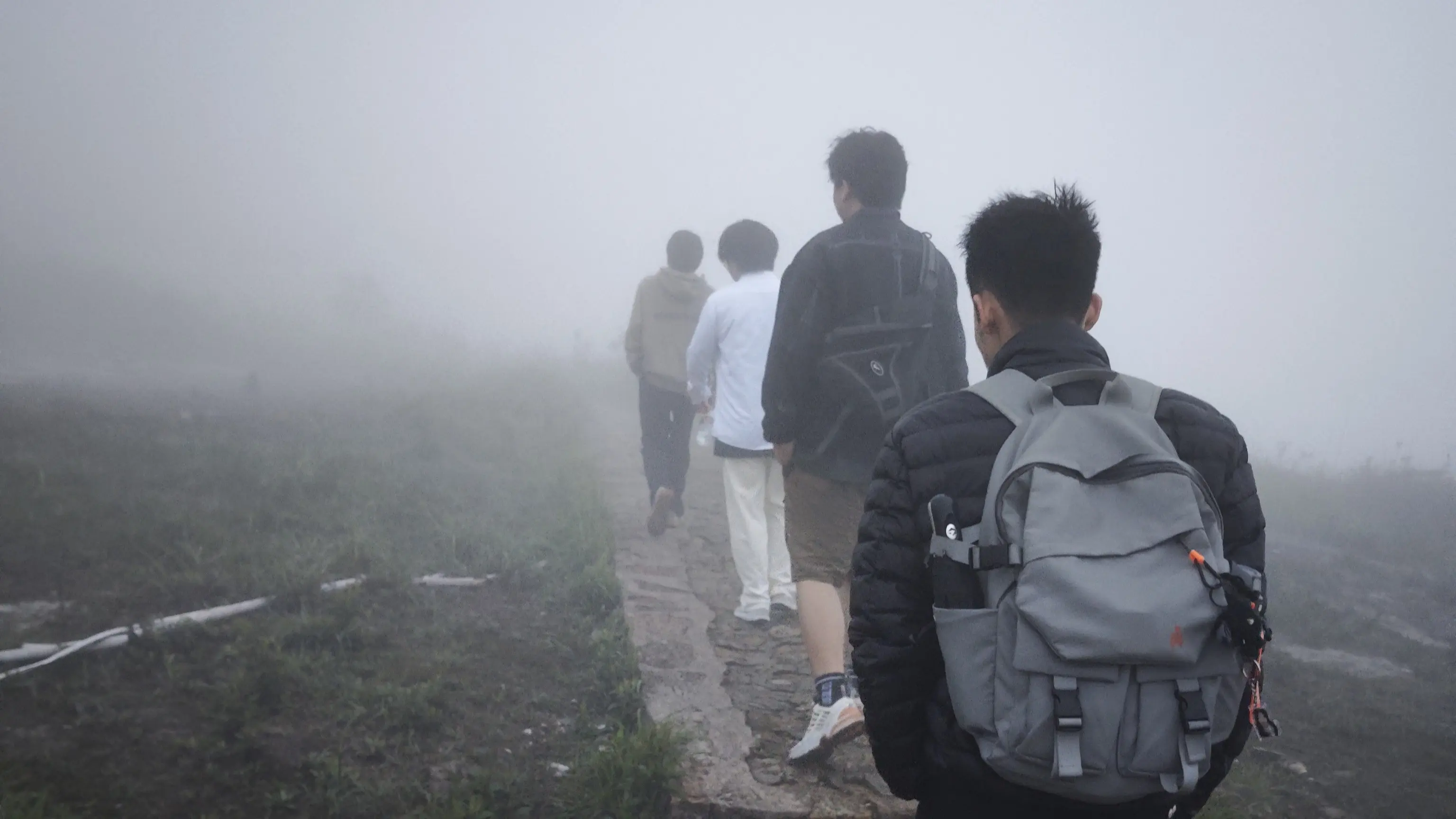 Cover Image of the Post